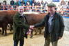 Longtown Mart Kirkcambeck Sale Champion pen of Shorthorn Steers from FW Graham Highfield House with judge Jim Holden of sponsors Morrisons
